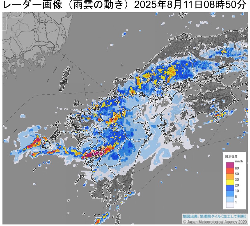 �F�{���Ŕ�����������~���сi2025�N8��11���j