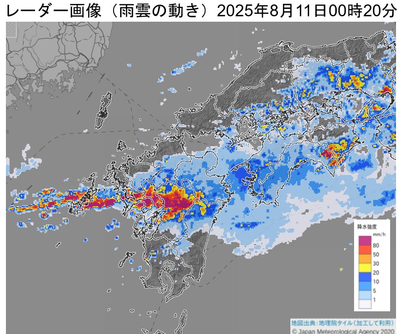 ���茧�Ŕ�����������~���сi2025�N8��11���j