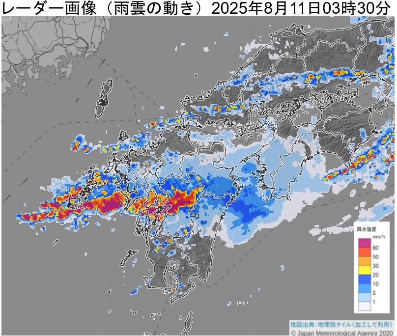 ���茧�Ŕ�����������~���сi2025�N8��11���j