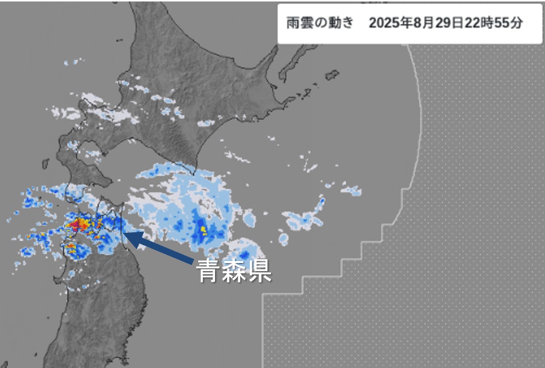 �X���Ŕ�����������~���сi2025�N8��29���j